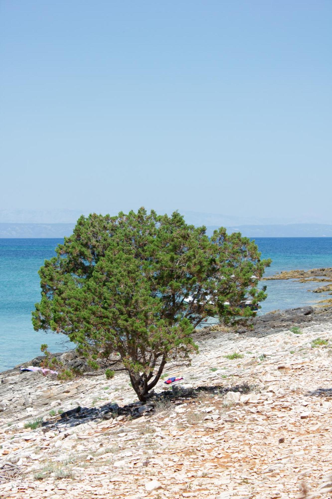 Apartament Vela Vala